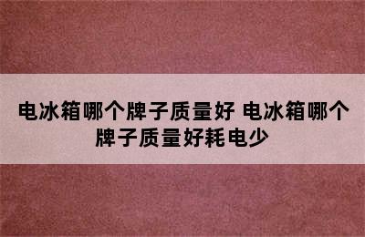 电冰箱哪个牌子质量好 电冰箱哪个牌子质量好耗电少